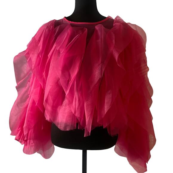 Pink Chiffon Ruffle Blouse - Picture 1 of 6